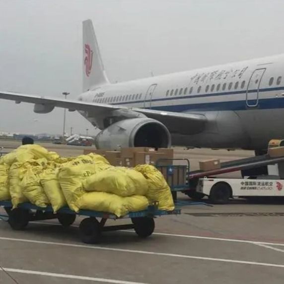 Vluchtschepen van Shanghai naar Australië van deur tot deur FCL Shipping Agency Ups Ddp Service