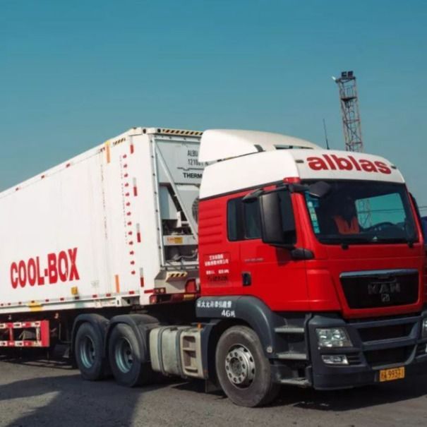 Container Verschepende Vrachtwagen van China aan de Verkoop van Europa Holland Belgium Oversize Cargo For
