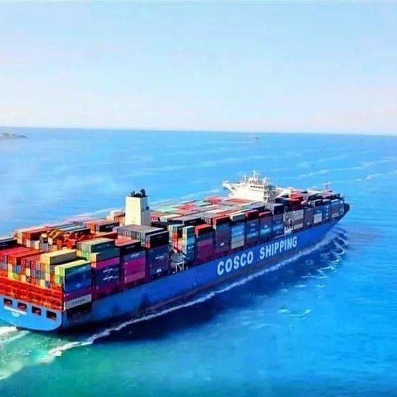 Lucht Overzeese de Invoervracht die Proces van China door:sturen aan Italië Nederland Spanje