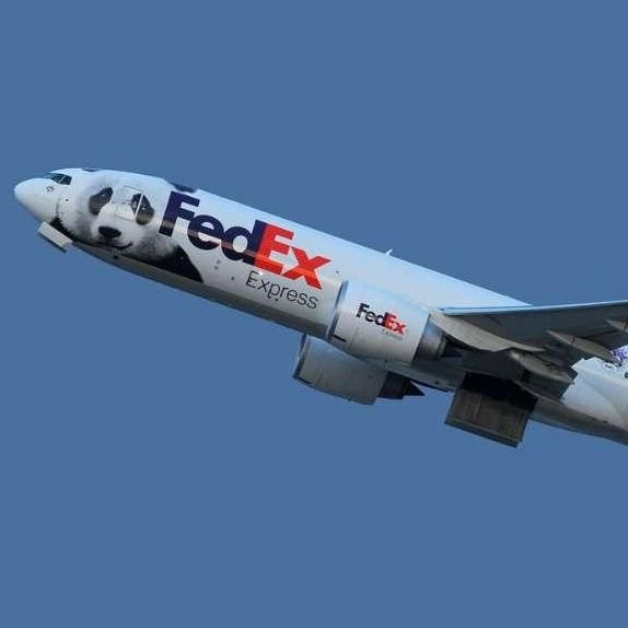 Overzeese deur tot deur internationale verzending UPS luchtvracht FedEx van Shanghai China naar Israël