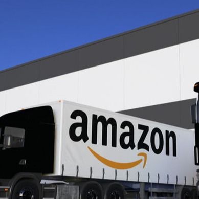 UPS-Internationaal de Diensten Huis-aan-huisvervoer van de Luchtvracht aan Amazonië FOB in de Verenigde Staten