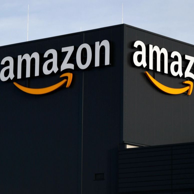 UPS-Internationaal de Diensten Huis-aan-huisvervoer van de Luchtvracht aan Amazonië FOB in de Verenigde Staten