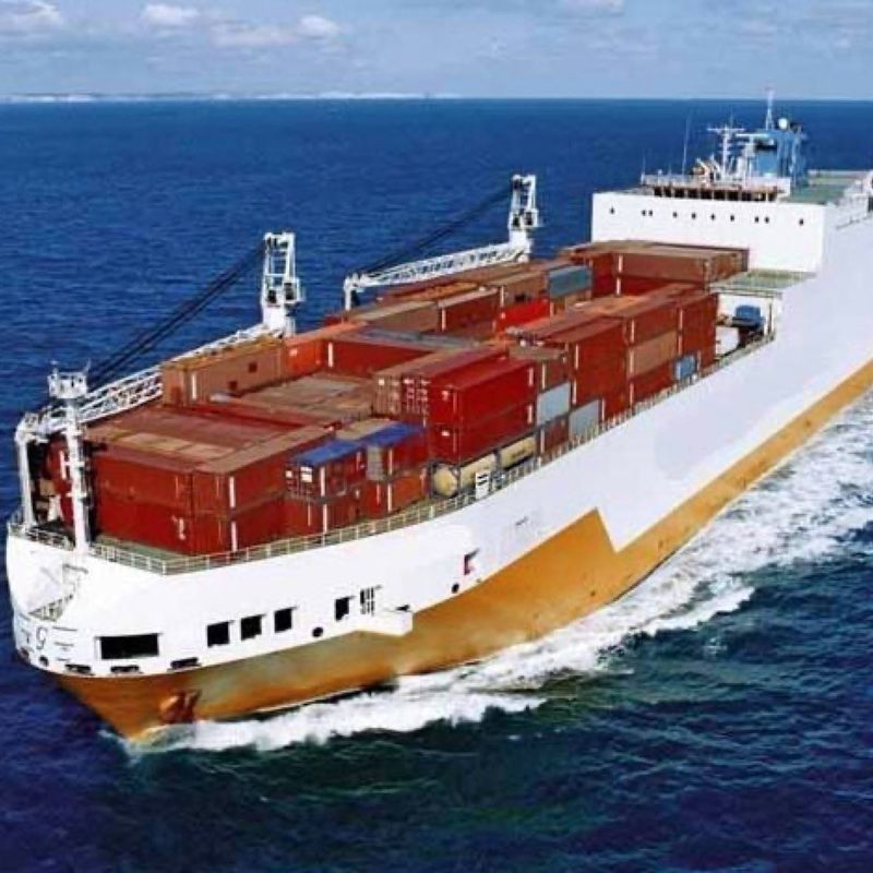 3c het globale FOB- LCL Overzees China van het Dalings Verschepende Centrum aan Jordanië de Vrachtvervoerder van 3 dagexw