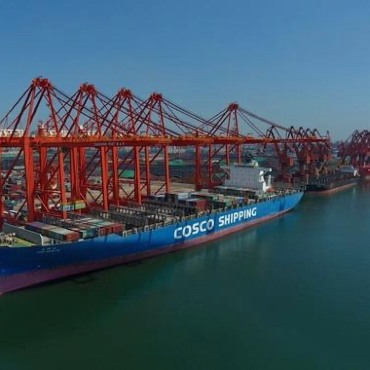 3c het globale FOB- LCL Overzees China van het Dalings Verschepende Centrum aan Jordanië de Vrachtvervoerder van 3 dagexw