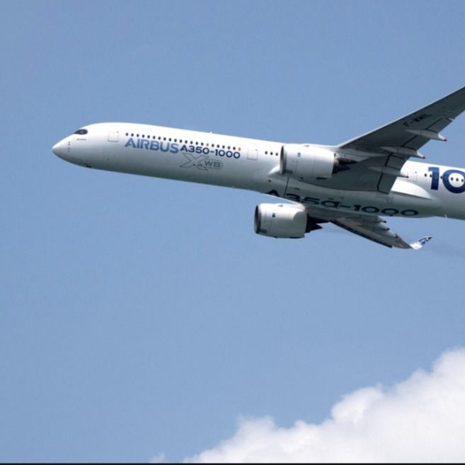 De FOB- FBA Fcl Overzeese Verzendingsdienst die van China aan Britse Duitsland Luchtvrachtagent Transport Carrier verschepen