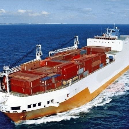 Huis-aan-huisVrachtvervoerder aan FBA Amazonië van de V.S. Pakhuiscargadoor Fedex Dhl Ups